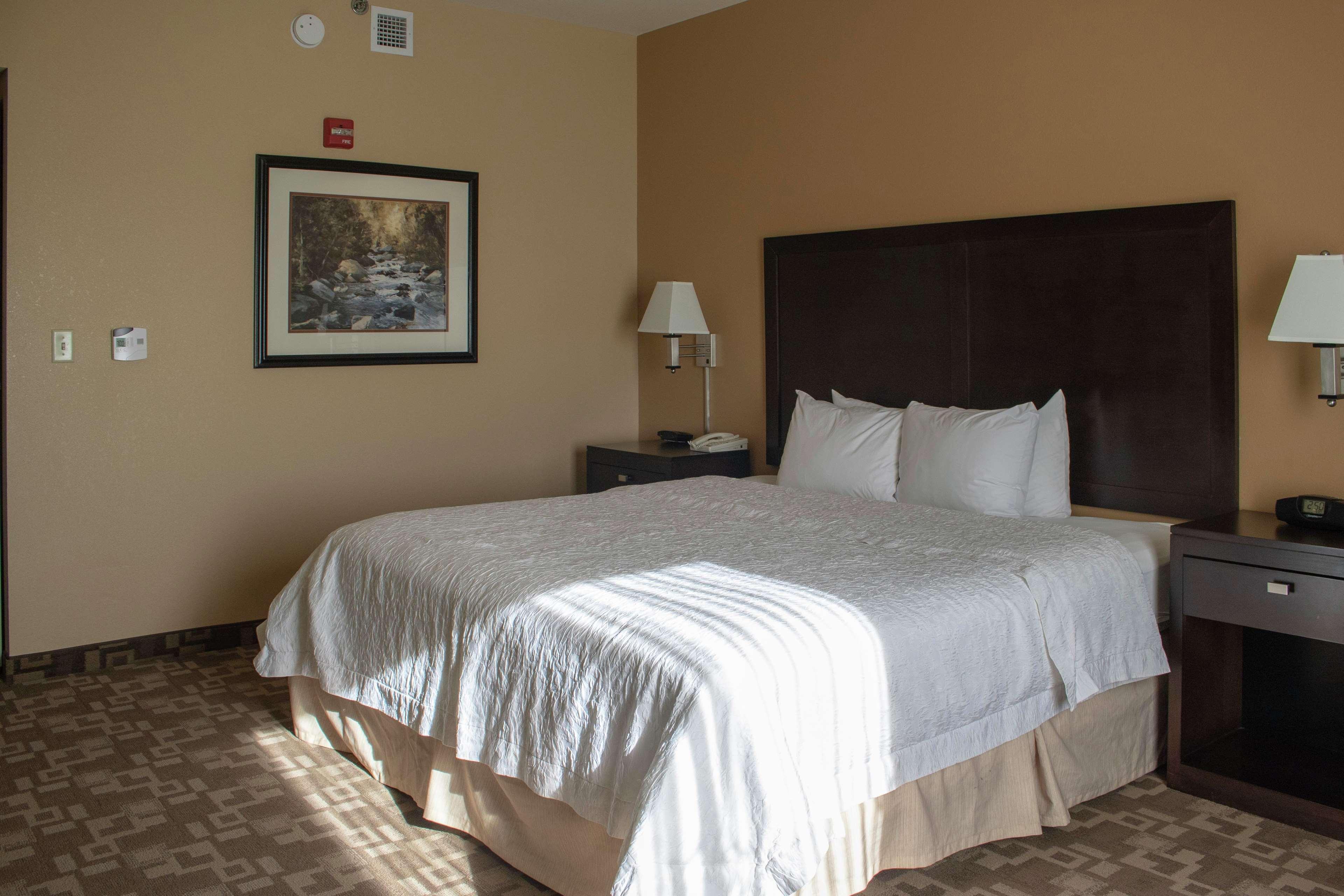 Hampton Inn & Suites-Knoxville/North I-75 Buitenkant foto